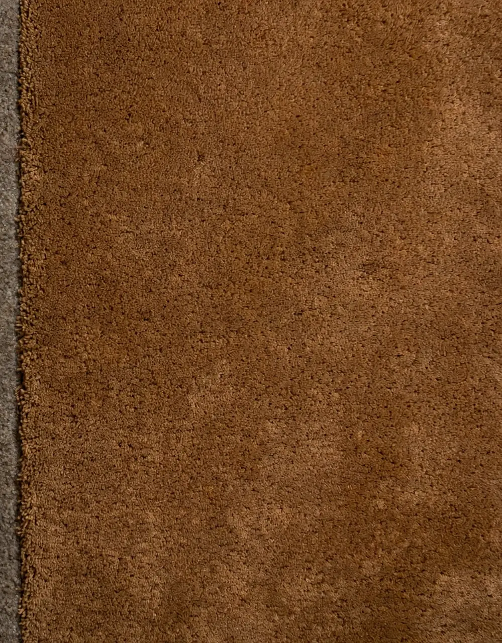 Deep-cleaned carpet
