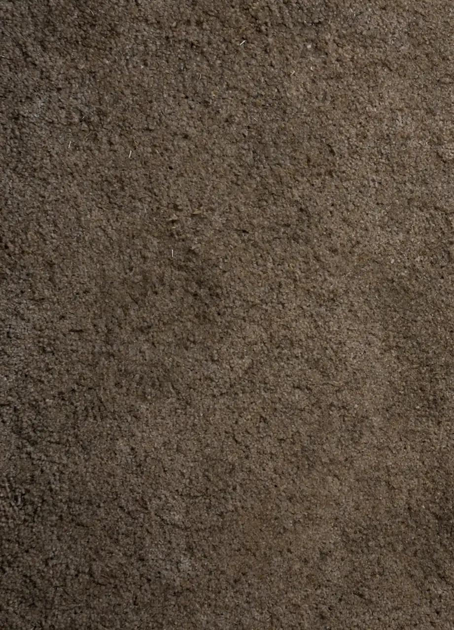 Carpet before cleaning